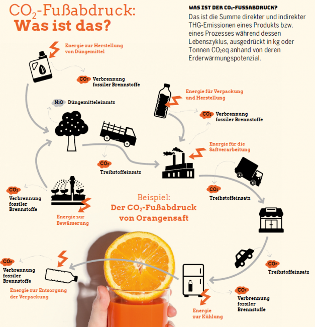 Wie Kann Man Den Klimawandel Stoppen www.science.lu