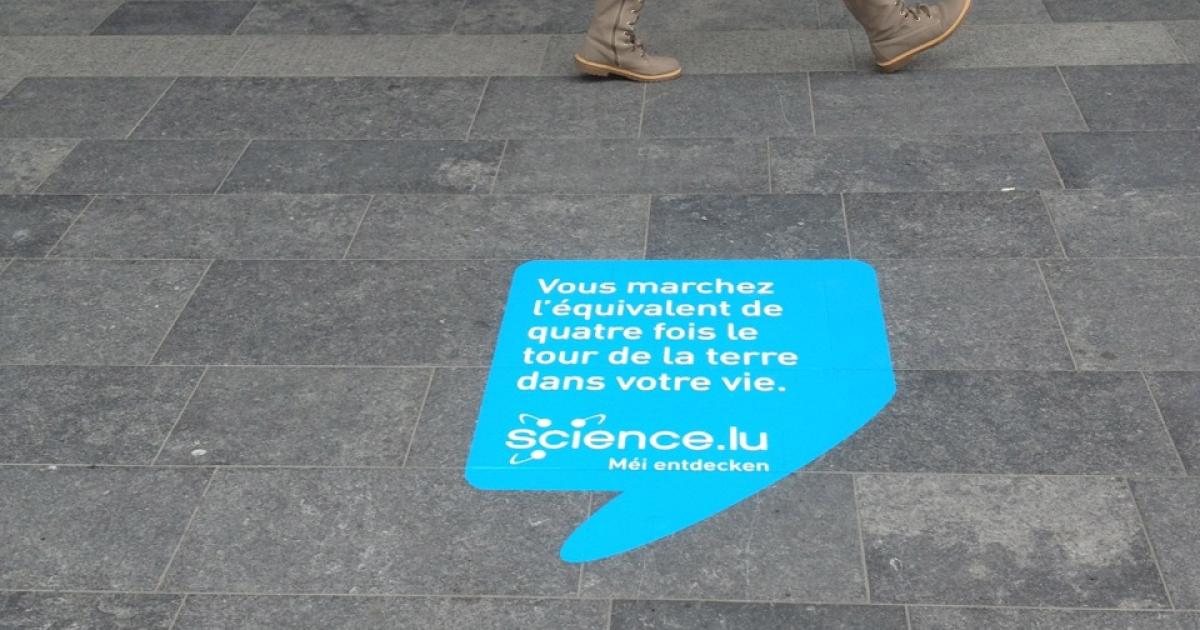Combien De Moyenne Pour Science Po Combien de kilomètres marchons-nous en une vie?